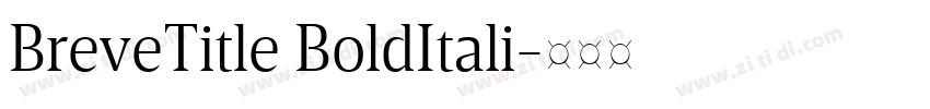 BreveTitle BoldItali字体转换
